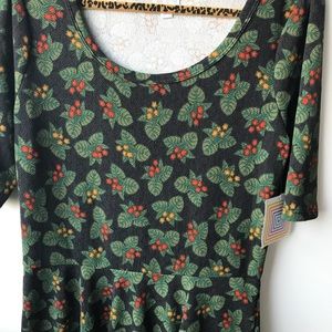 NWT XXL LuLaRoe Nicole Dress